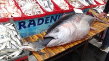 Şanlıurfa'da 122 Kiloluk Balık Görenleri Şaşırttı
