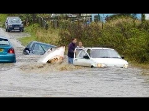 Những hình ảnh khiến bạn choáng váng không phân biệt thật giả