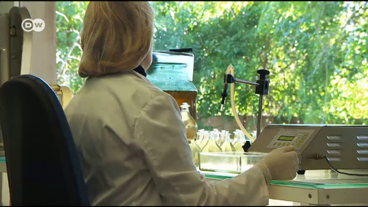 Frühlingsgrüße aus Mallorca | Euromaxx