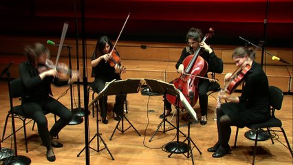 Beethoven Quatuor à cordes n° 8 en mi mineur op. 59 n° 2 Allegretto- Quatuor Akilone