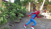 Человек-паук против Джокера похитить замороженные elsa шантаж удовольствие Супергерои кино в реальной жизни