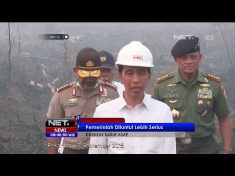 Kabut Asap Belum Termasuk Bencana Nasional - NET24