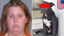 Female animal shelter worker busted for screwing a pit bull