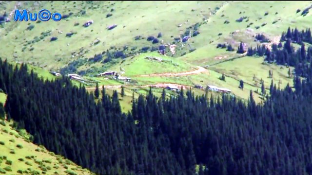 Fuat Saka - Kara Sevda (Karadeniz Türküleri HQ) Mu©o