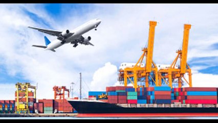 Mühendisliği bırakıp istiridye mantarı üretmeye başladı