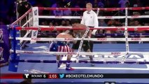 Mécontent du déroulement d'un combat, un spectateur monte sur le ring pour frapper un boxeur