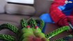 Человек-паук против зомби Супергерои ж/ замороженные Эсла и розовый Человек-паук! Забавные комиксы супергерой в
