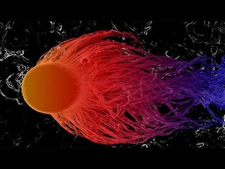 Chuyện lạ có thật - Vẻ đẹp bí ẩn thế giới vô hình!!!