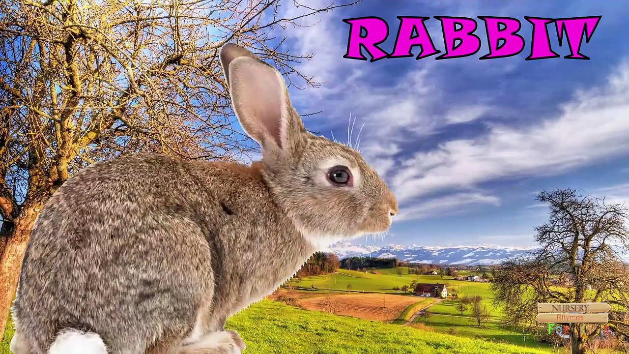 Farm Animals Names For Children Toddlers Preschool | learn Farm animals In English Nursery Rhymes