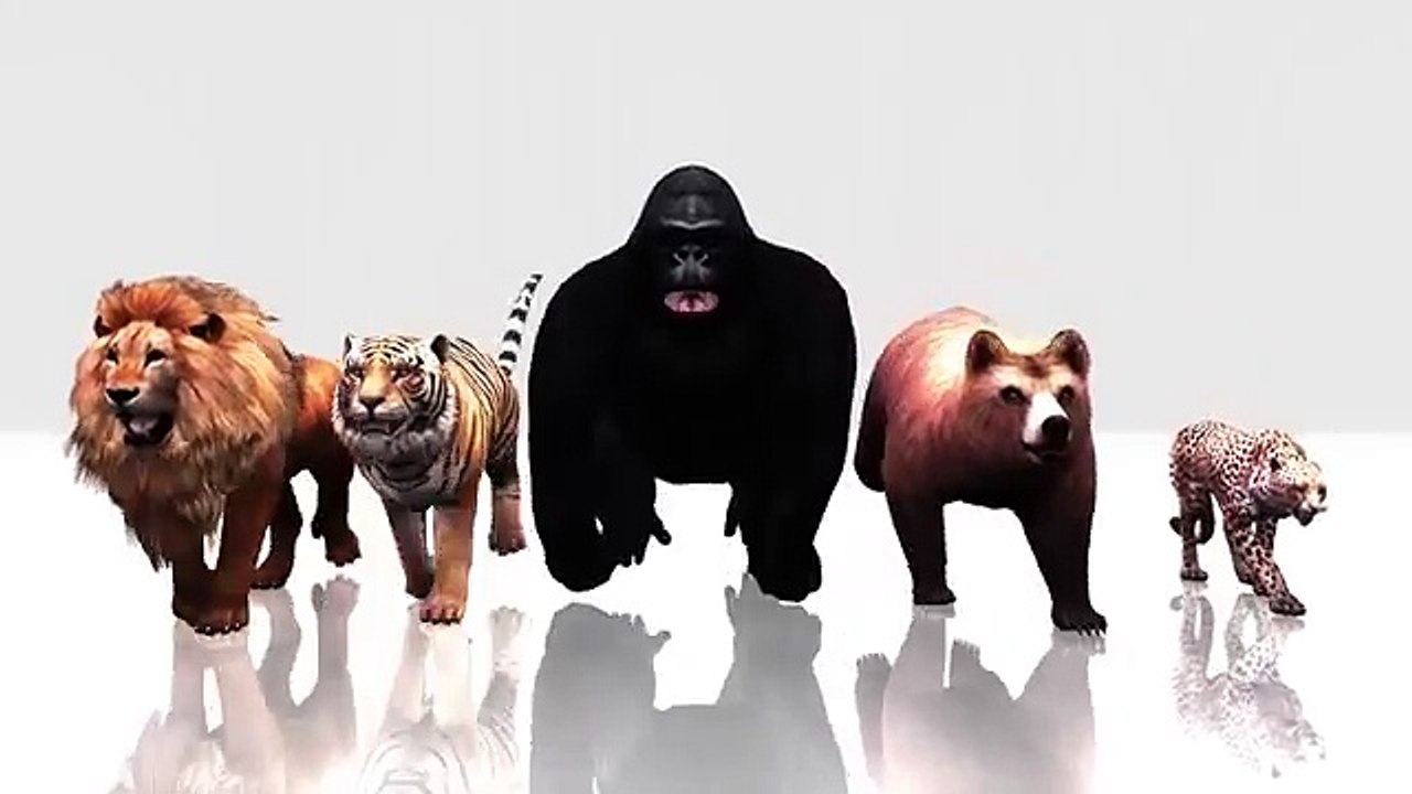 360 Degree 3D VR Videos for Kids! Finger Family - Surprise Eggs Nursery Rhymes