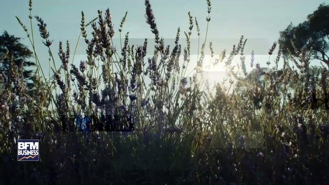 Angelina Jolie, égérie du nouveau parfum Mon Guerlain