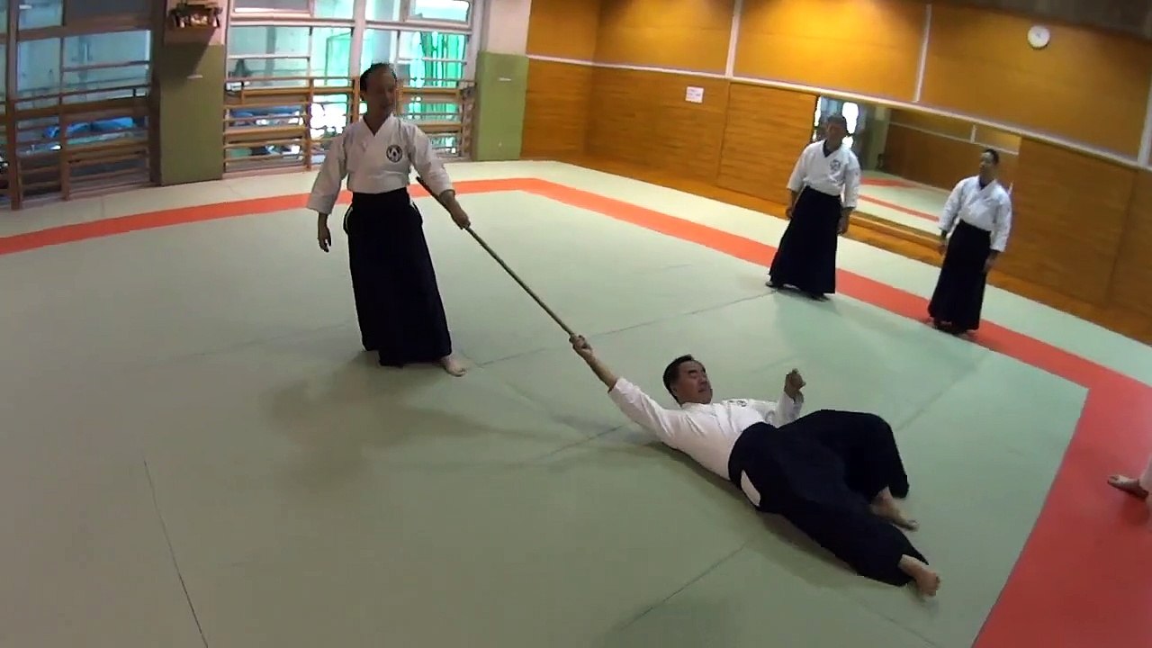 合気道 技 Aikido Techniques - How make unification