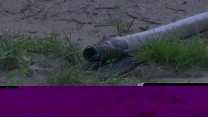 Legalizing Weed's Effect on Teens