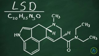 LSD Grips Serotonin Receptors for Long Hallucination