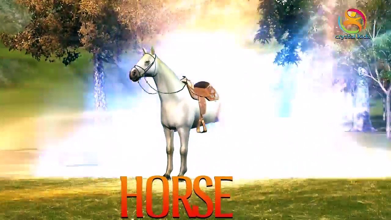 Узнать Животные Имена И Звуки Для Детей | Названия Диких Животных Видео Для Детей