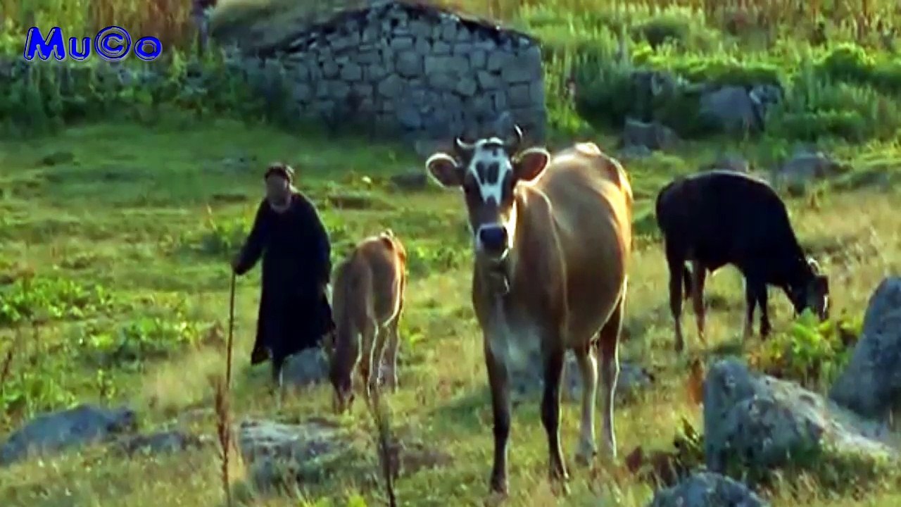 Gökhan Birben - Yüreğum Senilendur (Karadeniz Türküleri HD) Mu©o