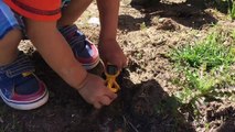 Toy Trucks - CONSTRUCTION Trucks For Kids - PLAYTIME Digging in Backyard Caterpillar Backhoe Crane