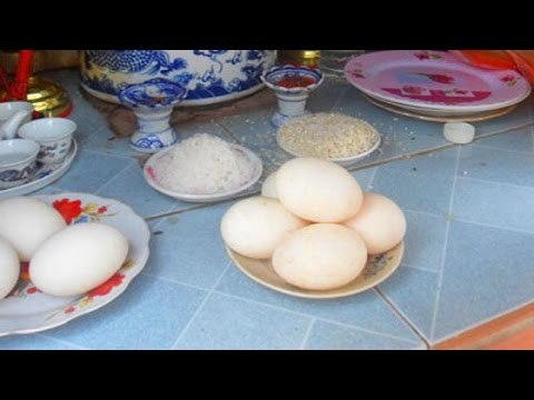 Chuyện khó tin - Người đàn ông bị rắn thần nhập thân chỉ ăn mỗi trứng sống