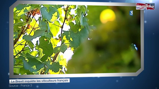 Le Brexit inquiète les viticulteurs français