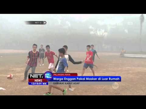 Kondisi Terkini Kabut Asap di Palangkaraya - NET12