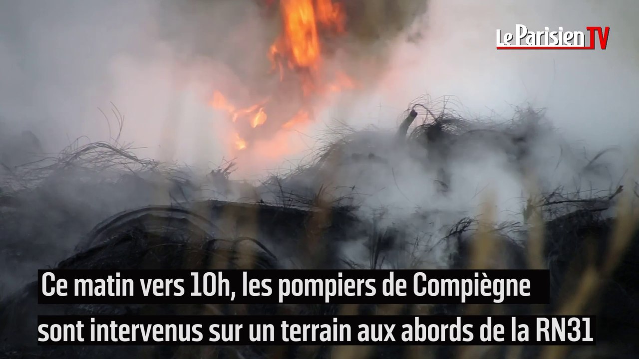 Incendie en forêt de Compiègne : une tonne de pneus prend feu