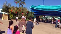 Океанариум Семейного Отдыха Путешествие Шаму Всемирный Водный Парк Зоопарка В Сан-Диего Бальбоа Парк Детский Видео FamilyToyReview