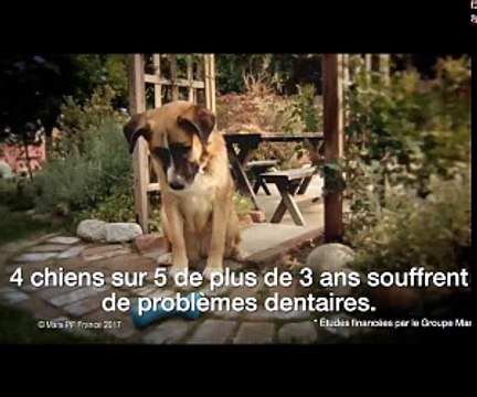 Régis fait du bateau