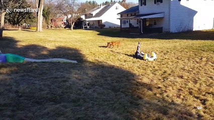 Excited dog wipes out kid playing in garden