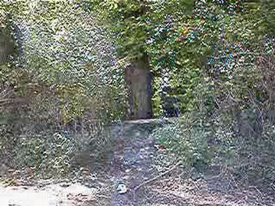 Maison d'Enfants de l'Avenir Social (2007)