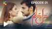 Dil E Jaanam Episode 1 Full Hd Hum Tv Drama 1 March 2017