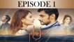 Dil e Jaanam Episode 1 Full HD HUM TV Drama 1 March 2017