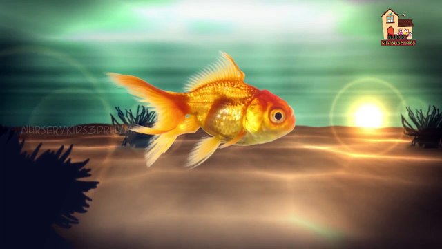 Животные 3D палец семья nursery 3D английское стишки | смешные животные палец семейные песни для детей