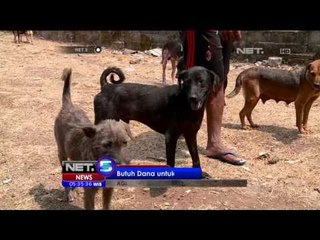 Seorang Dokter Abadikan Hidupnya untuk Mengasuh Hewan Liar - NET 5