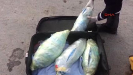 Manavgat Jandarmadan Uyuşturucu Operasyonu