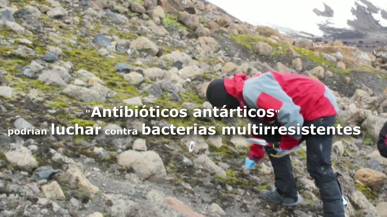 Suelo antártico podría ser la respuesta a la lucha contra las bacterias multirresistentes