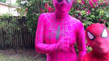Spiderman vs Joker vs рок-группа SpIDer Girl Burger Butt Prank! w/ Frozen Elsa Venom смешные супергерои