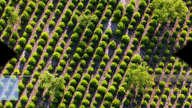 Greener Lawn Care - (219) 209-9077