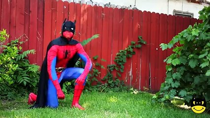 Frozen Elsa with Spidergirl arms?? w/ Pink Spidergirl, Police Baby, Joker