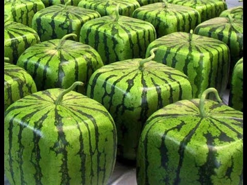 Có gì đặc biệt ở 10 loại trái cây đắt tiền bậc nhất thế giới dưới đây?
