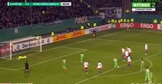 (Penalty) Raffael Goal - Hamburger SVt0-2tB. Monchengladbach 01.03.2017