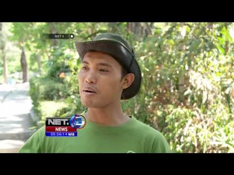 Agenda Kebun Binatang Surabaya, Jasa Para Perawat Hewan - NET5