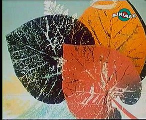 Moha És Páfrány @ 02 Hogyan Főzött Moha És Páfrány Csipkebogyóteát