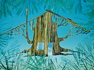 Moha És Páfrány @ 18 Hogyan Csinált Moha És Páfrány Hintát