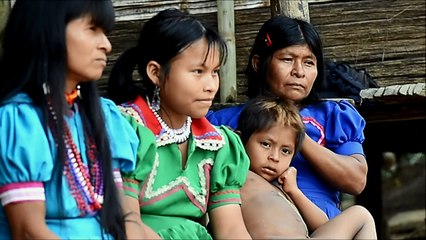 العنف والجوع والخوف تلاحق السكان الاصليين في غابات كولومبيا