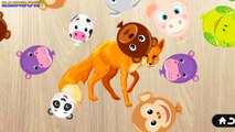 Пазлы для детей: учим названия животных. Учебное Видео Для Детей.