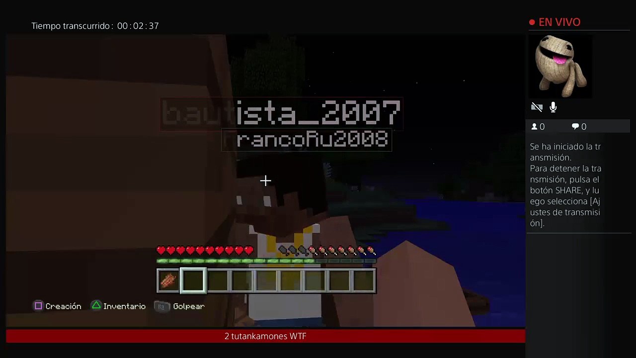 Pixelmon #3 (259)