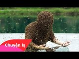 Chuyện khó tin - Người đàn ông cho 637.000 con ong đậu lên người