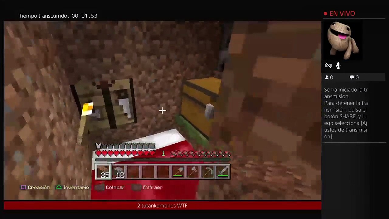 Pixelmon #4 (261)