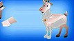 Animal Puzzles | Surprise Animals Kids Games with the Colorful Puzzle Android / IOS