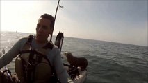 Baby seal gets a free ride on kayak